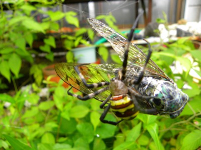DSCN2758.jpg