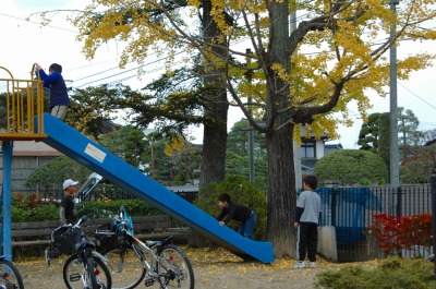 コピー ～ DSC_0013.jpg