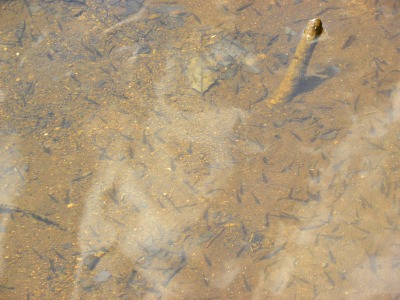 DSCN3284.jpg