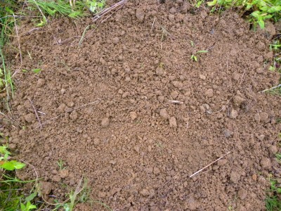 DSCN3239.jpg