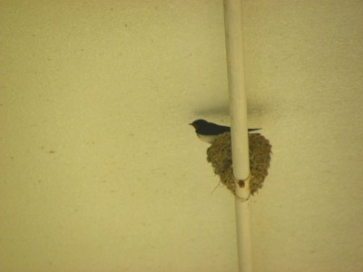DSCN2176.jpg