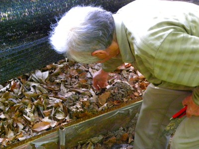 DSCN3212.jpg