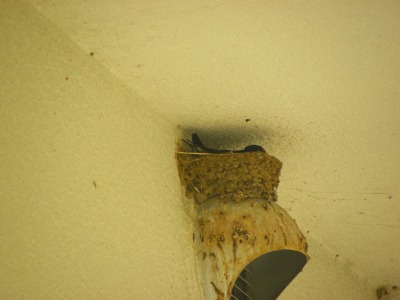 DSCN2178.jpg
