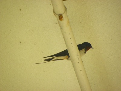 DSCN2173.jpg