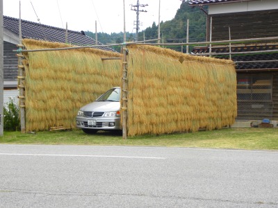 DSCN3510.jpg