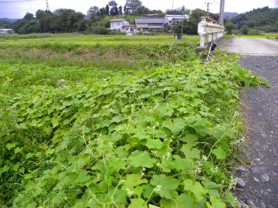 DSCN3126.jpg