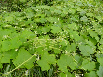 DSCN3125.jpg