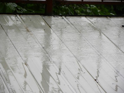 DSCN2734.jpg
