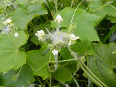 DSCN3127.jpg