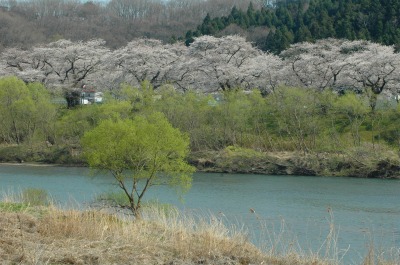 コピー ～ DSC_0006.jpg