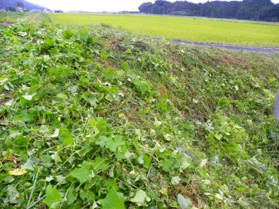 DSCN3131.jpg