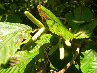 DSCN3302.jpg