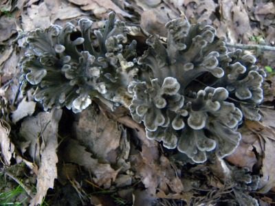 DSCN3193.jpg