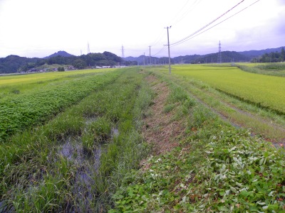 DSCN3134.jpg