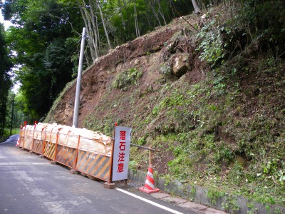 DSCN3123.jpg