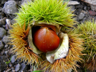 DSCN3276.jpg