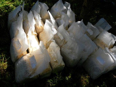 DSCN3214.jpg
