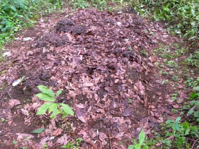 DSCN3350.jpg