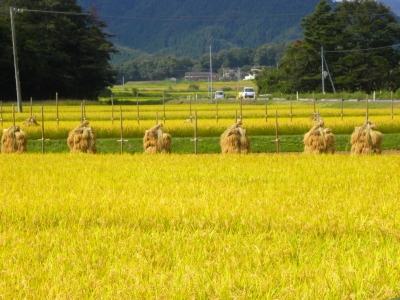 DSCN3363.jpg