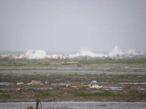 DSCN5949.jpg
