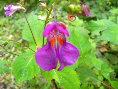 DSCN3059.jpg