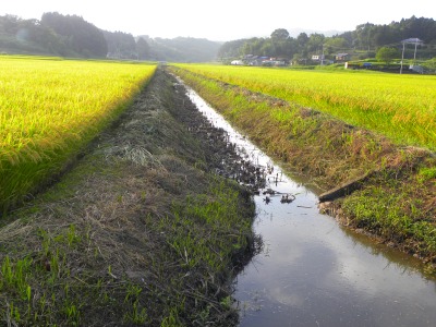 DSCN3158.jpg