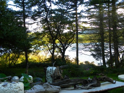 DSCN3195.jpg