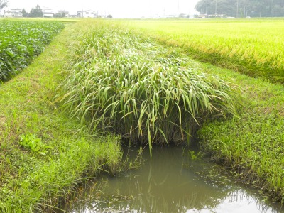 DSCN3153.jpg