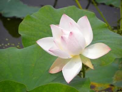 DSCN3187.jpg
