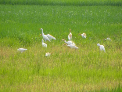 DSCN2238.jpg