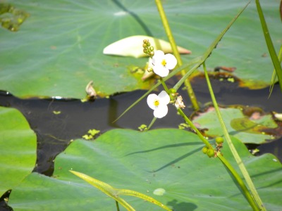DSCN3188.jpg