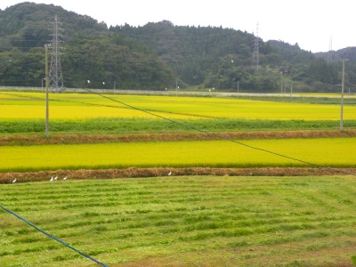 DSCN3232.jpg