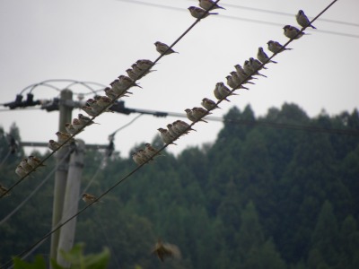 DSCN3235.jpg