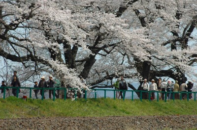 コピー ～ DSC_0023.jpg
