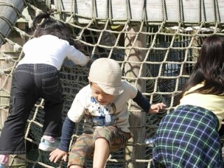 taiyo02.jpg