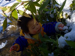 皇子が丘公園