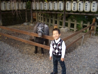 ooishijinja7111405.jpg