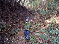 山科神社から稲荷山