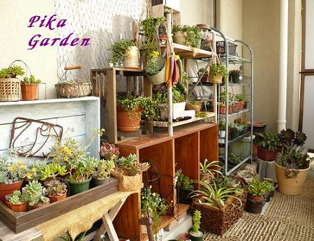 pika garden(08.04.25).JPG