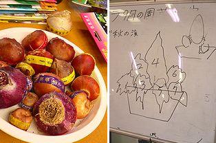 授業の内容.JPG