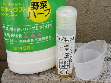 ハイポ.jpg
