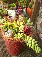2008年4月11日