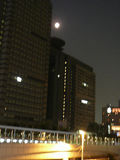 ビル群のお月見.jpg