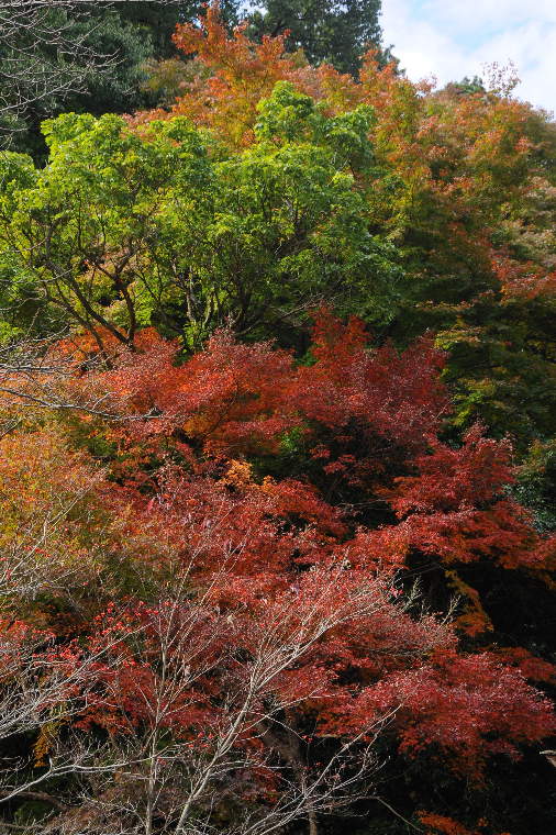 pict0094.2.jpg