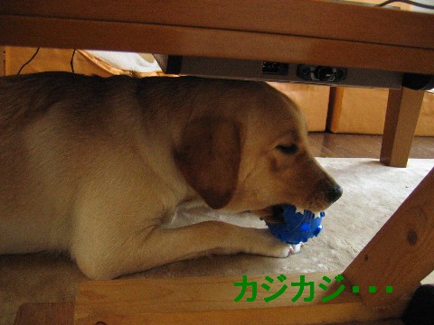 画像 709 Web 表示用 (中).jpg