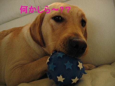 画像 707 Web 表示用 (中).jpg