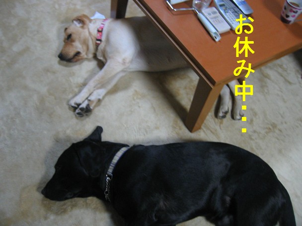 画像 314.jpg