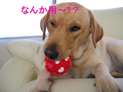 画像 691 Web 表示用 (中).jpg