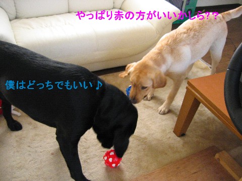 画像 687 Web 表示用 (中).jpg