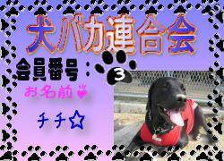 犬バカ連合会.bmp.jpg